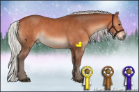 Horse Color:Silver Bay Sabino Rabicano 