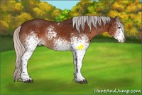 Horse Color:White Spotted Silver Brown Tobiano Appaloosa 