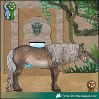 Horse Color:Silver Brown Dun Sabino 