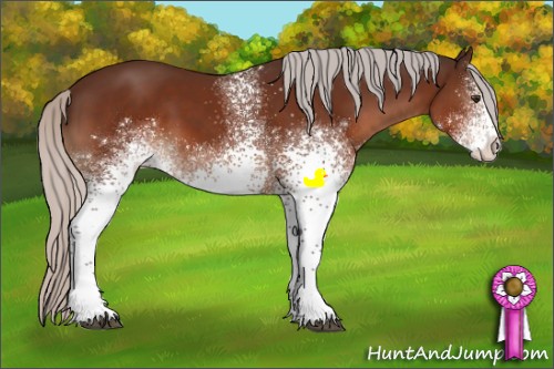 Horse Color:White Spotted Silver Brown Rabicano
