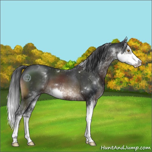 Horse Color:Brown Sabino
