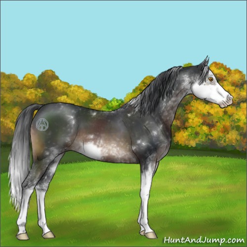 Horse Color:Brown Sabino