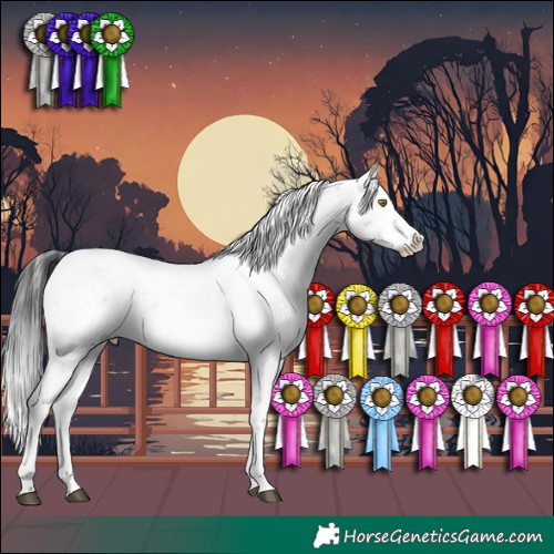 Horse Color:Brown Sabino 