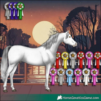 Horse Color:Brown Sabino