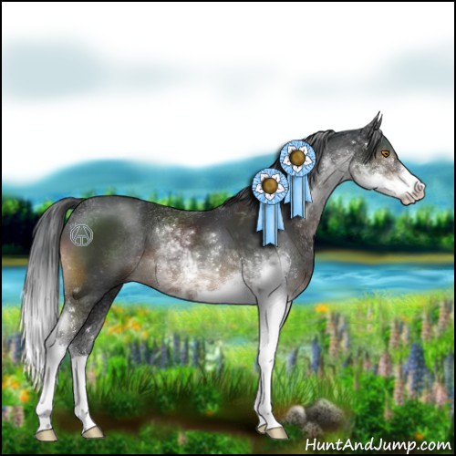 Horse Color:Brown Sabino