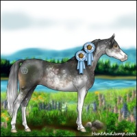 Horse Color:Brown Sabino 