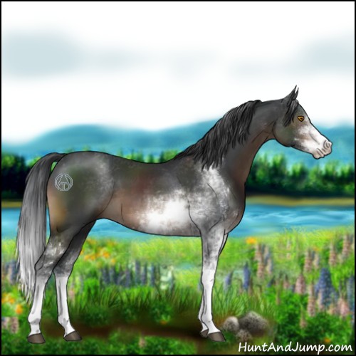 Horse Color:Brown Sabino 