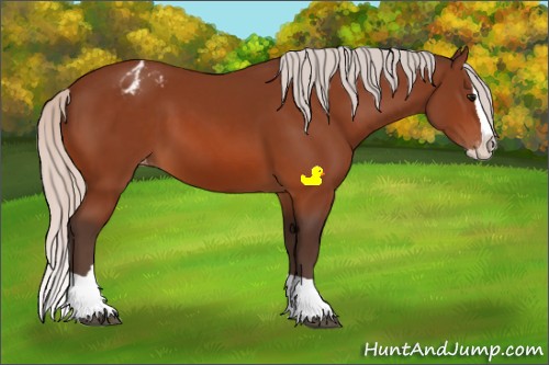 Horse Color:Silver Bay Splash Appaloosa 
