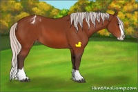 Horse Color:Silver Bay Splash Appaloosa 
