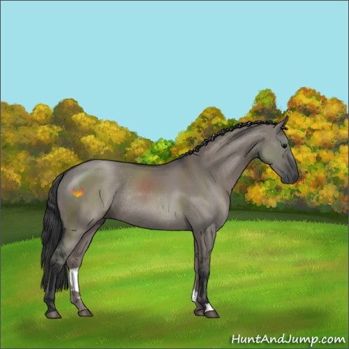 Horse Color:Grullo Rabicano 