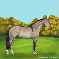 Horse Color:Brown Dun Rabicano 