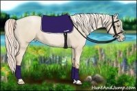 Horse Color:Palomino Pearl Dun 