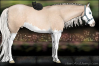 Horse Color:Chocolate Palomino Roan Pearl Splash 