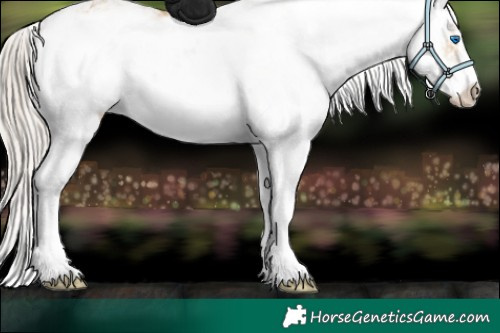 Horse Color:Chocolate Palomino Dun Sabino Splash 