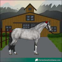 Horse Color:Gray Platinum Brown Roan Dun Tobiano 