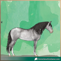 Horse Color:Gray Platinum Buckskin Pearl Dun Tobiano 