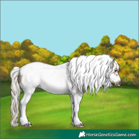 Horse Color:Silver Black Ice Tobiano Frame 