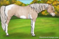 Horse Color:Silver Blue Roan Pearl Tobiano Frame 
