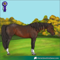 Horse Color:Liver Chestnut Tobiano 