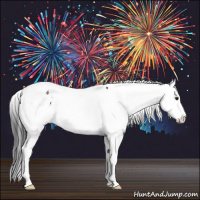 Horse Color:Bay Splash Tobiano  and Bay Splash Tobiano 