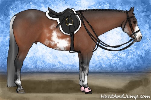 Horse Color:White Spotted Bay Roan Frame 