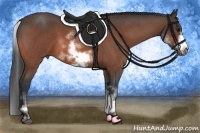 Horse Color:White Spotted Bay Roan Frame 