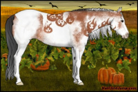 Horse Color:White Spotted Bay Tobiano