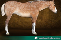 Horse Color:Gray White Spotted Chocolate Silver Bay Ice Dun Rabicano Brindle 