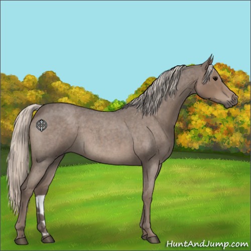 Horse Color:Silver Blue Roan 