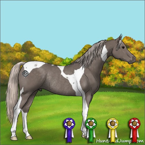 Horse Color:Silver Black Tobiano Rabicano 