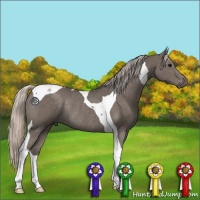 Horse Color:Silver Black Tobiano Rabicano 