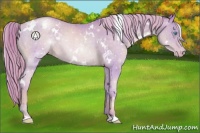Horse Color:Watercolor White Spotted Chocolate Palomino Pearl Appaloosa 