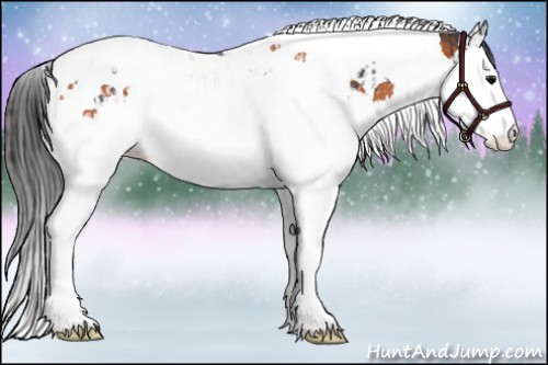 Horse Color:Black Splash Tobiano  and Bay Splash Tobiano 