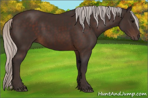 Horse Color:Silver Brown 