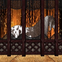 Horse Color:Liver Chestnut Tobiano Appaloosa 