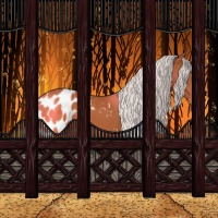 Horse Color:Silver Bay Sabino Appaloosa Rabicano 