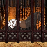 Horse Color:Bay Tobiano Appaloosa Rabicano 