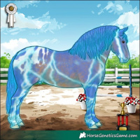 Horse Color:Thunderstruck Watercolor Liver Chestnut Appaloosa Rabicano 
