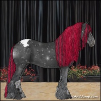 Horse Color:Painted Black Appaloosa 