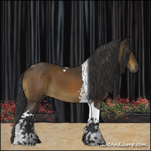 Horse Color:Bay Tobiano 