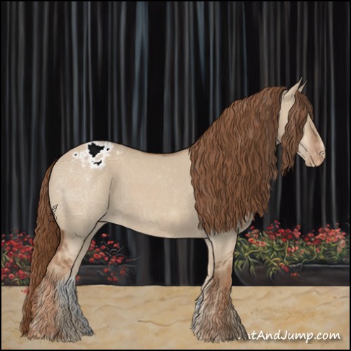 Horse Color:Red Dun Sabino Appaloosa Rabicano 
