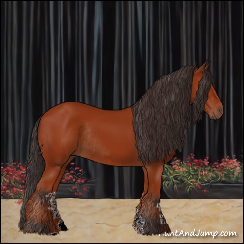 Horse Color:Bay Rabicano 