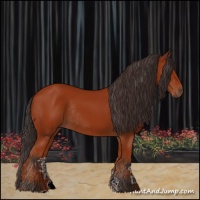 Horse Color:Bay Rabicano 