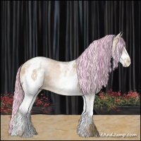 Horse Color:Painted White Spotted Chocolate Palomino Pearl Sabino Appaloosa 