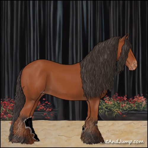 Horse Color:Bay Appaloosa 