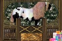 Horse Color:Nacre Buckskin Pearl Dun Sabino Splash Appaloosa Rabicano 