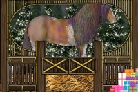 Horse Color:Nacre White Spotted Buckskin Sabino Appaloosa