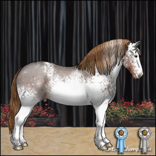 Horse Color:White Spotted Liver Chestnut 