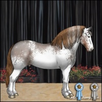 Horse Color:White Spotted Liver Chestnut