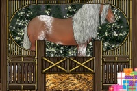 Horse Color:White Spotted Silver Bay 